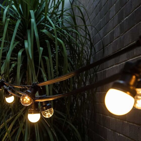 Beautiful low voltage festoon lights