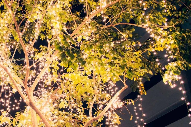 Hire fairy lights for your commercial party